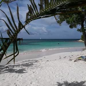 Meet your Posher, Paul